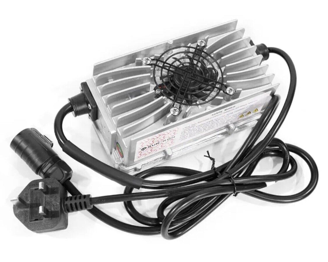 SURRON LIGHT BEE CHARGER